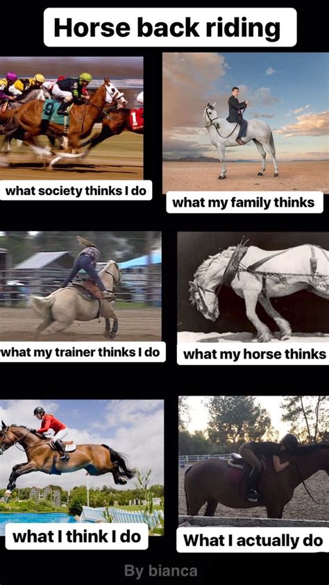 Equestrian problems.... Horse Quotes Funny, Funny Horse Pictures, Horse Jokes, Inspirational ...