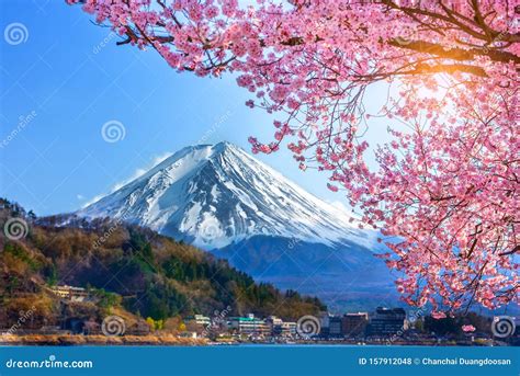 Mount Fuji and Cherry Blossoms Which are Viewed from Lake Kawaguchiko, Yamanashi, Japan Stock ...