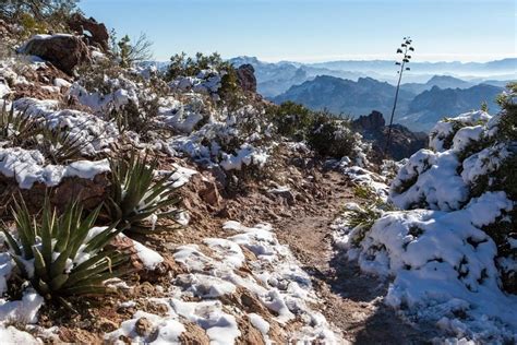 winter in Phoenix, AZ by miroslaw.wierzbicki | Winter, Natural ...