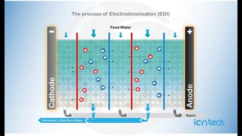 The process of Electro Deionisation EDI Iontech Animated - YouTube