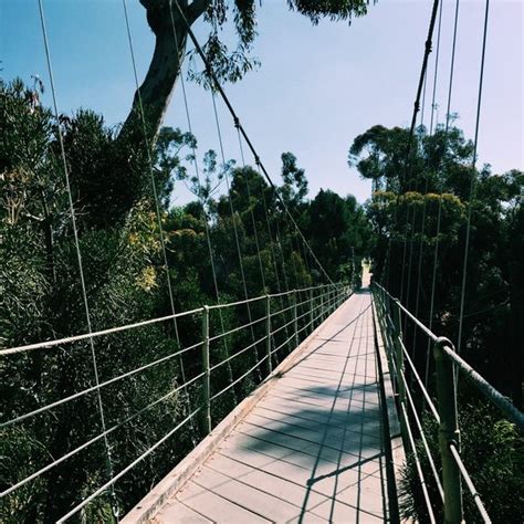 Spruce Street Suspension Bridge – San Diego, California - Atlas Obscura