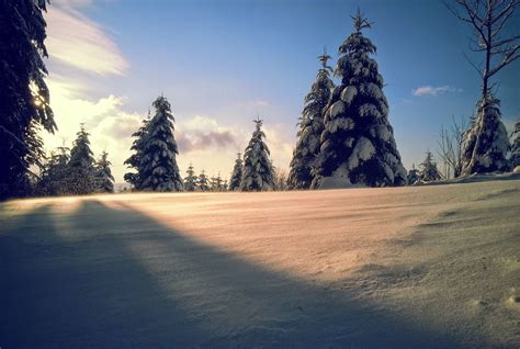 Sociolatte: Winter in Black Forest, Germany [Winter Photography]