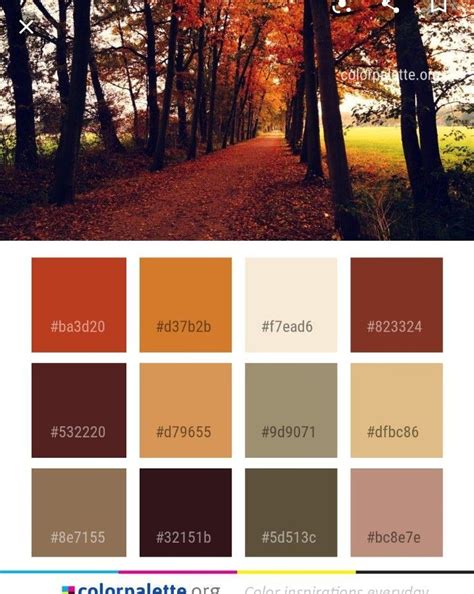 Rustic Color Palettes Fall Color Palette House Color - vrogue.co