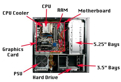 give a labelled diagram of the cpu and it's parts - Brainly.in