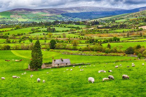 970+ Rolling Hills Of Ireland Stock Photos, Pictures & Royalty-Free Images - iStock