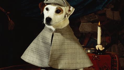 Prepare Your Nostalgic Hearts for a WISHBONE Movie - Nerdist