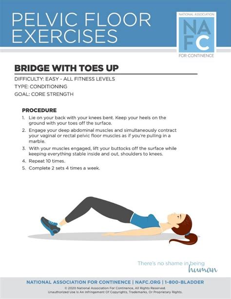 Downloadable Exercises For Your Pelvic Floor Lower Back Pain Exercises, Pelvic Floor Exercises ...