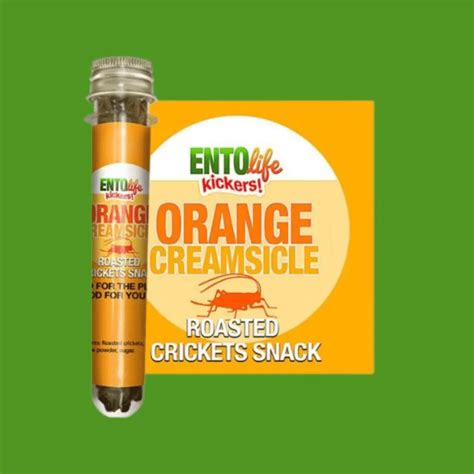 +20 Best Orange Snacks Explained - Eggradients.com