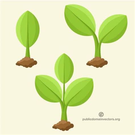 Small green plants | Public domain vectors