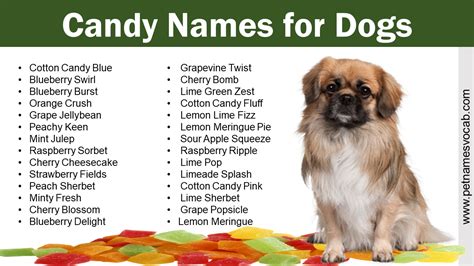 Candy Names for Dogs: Male & Female - Pet Names Vocab