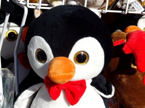 Toy Penguin Wearing Bow Tie Free Stock Photo - Public Domain Pictures