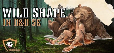 Wild Shape 5e DnD Druid Guide