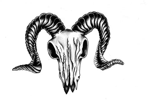 RAM SKULL by jmcquade111 on DeviantArt