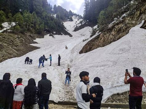 Snow Leopards Spotted In Jammu Kashmir's Kishtwar National Park. See Pics