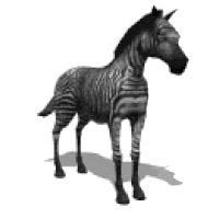 zebra | GIF | PrimoGIF