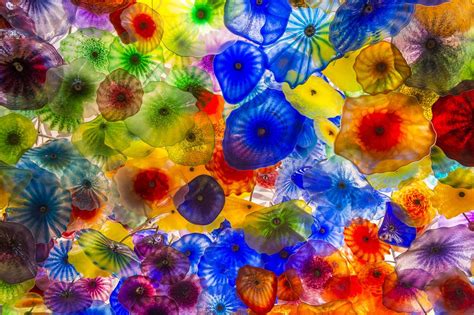 The Colorful, Fantastical World of Dale Chihuly