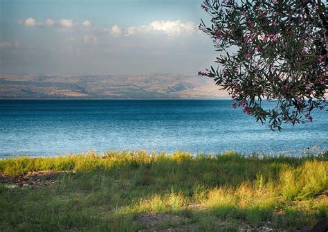 Jesus’s Work in Galilee | Biblical Studies | Kregel Academic and Ministry