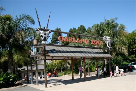 The Oakland Zoo For Families (With a Break Even Calculation on the Cost ...