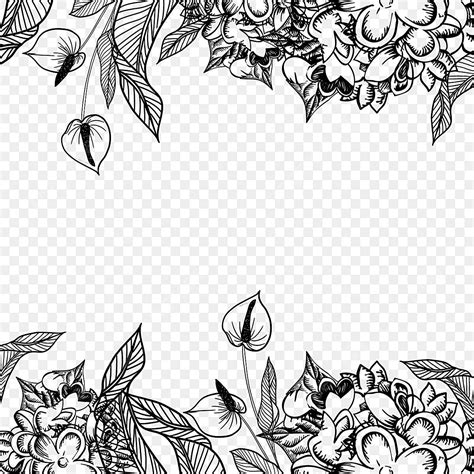 Black Floral Line Leaf Border, Leaf Drawing, Floral Drawing, Border Drawing PNG Transparent ...