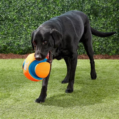 Chuckit! Kick Fetch Ball, Large - Chewy.com