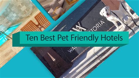 Top Ten Park City Pet Friendly Hotels - YouTube