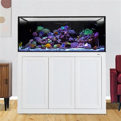 INT 100 Aquarium w/ APS Stand - White