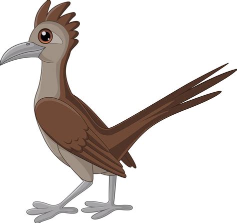 Cartoon roadrunner bird on white background 15219976 Vector Art at Vecteezy