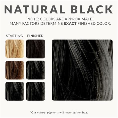 Natural Black Henna Hair Dye – Henna Color Lab® – Henna Hair Dye