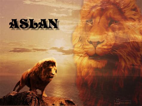 aslan the king of narnia - Aslan Wallpaper (20650333) - Fanpop