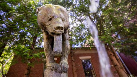 Photos: The legacy of Brown’s mascot lives on in campus bear statues | Brown University