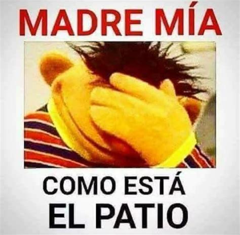 COMO ESTA EL PATIO..