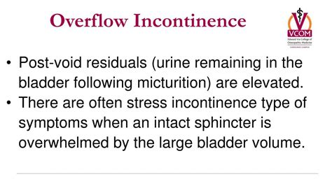 PPT - Urinary Incontinence PowerPoint Presentation, free download - ID ...