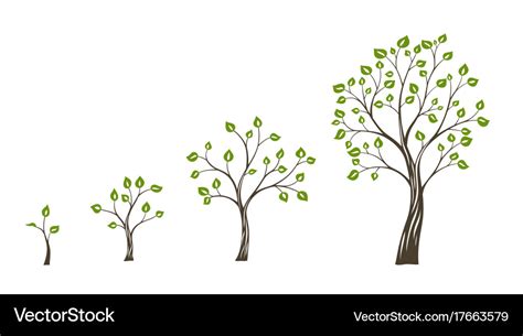 Green tree growth eco concept tree life cycle Vector Image