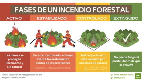 De conato a extinguido, fases y grados de los incendios forestales