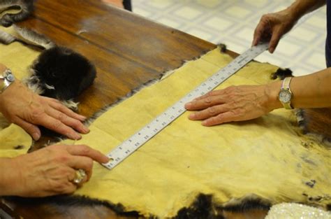 In Hydaburg, sea otter pelt craft is a budding cottage industry ...