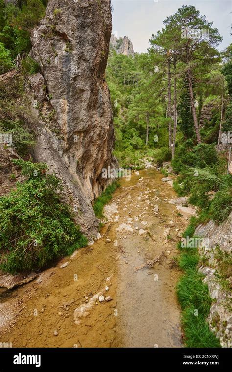 Rio matarrana el parrizal hi-res stock photography and images - Alamy