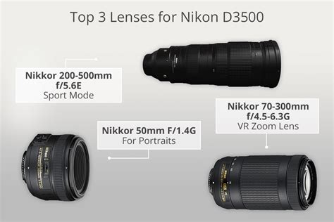 5 Best Lenses for Nikon D3500 of 2024