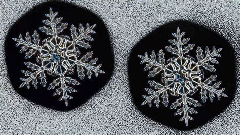 Who Ever Said No Two Snowflakes Were Alike? - The New York Times