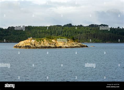 Norwegian Fjord coast Stock Photo, Royalty Free Image: 13154263 - Alamy