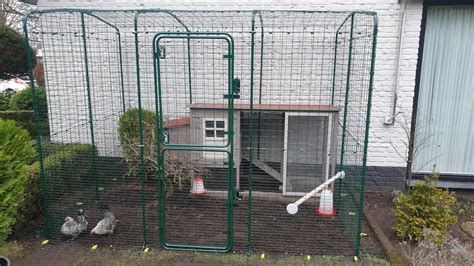 Walk in Chicken Run | Large Outdoor Chicken Enclosure