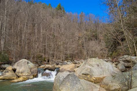 Meanderthals | Green River Cove Trail, Green River Game Lands