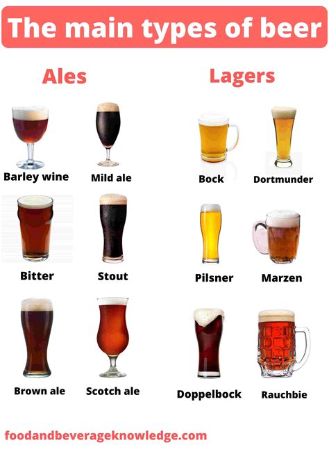 What are the different types of beer?