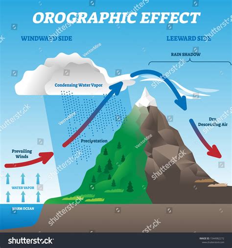Orographic effect vector illustration. Labeled weather system movement scheme. Educational ...