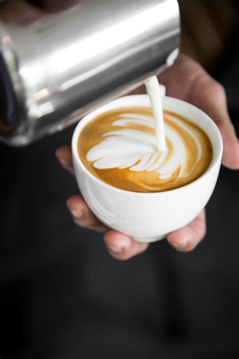 Free Images : flat white, latte, cortado, caff macchiato, ristretto, cafe au lait, coffee milk ...