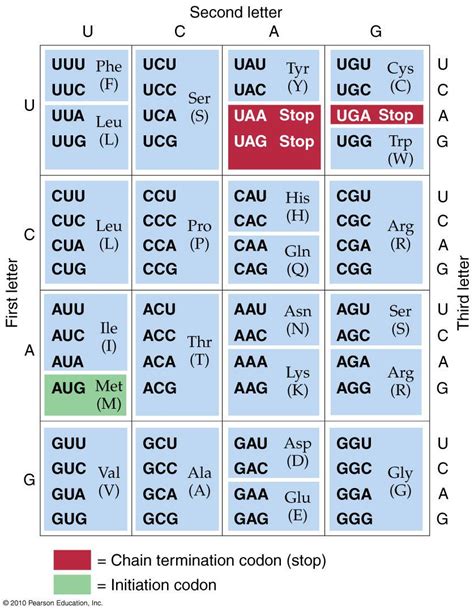 Universal Genetic Code | Biology facts, Biology classroom, Teaching biology