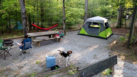 7 Outstanding Campgrounds Around Asheville, North Carolina