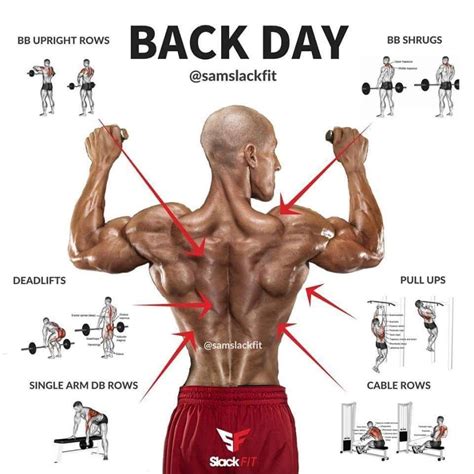 Pin by N.Wilkes on Upper Body | Good back workouts, Workout plan gym, Workout routine