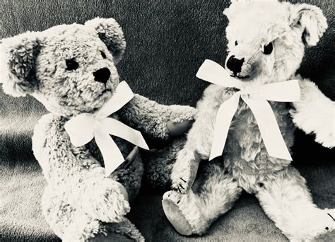 Restoration service | Teddy Bear Repair and Care