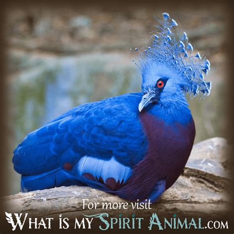 Bird Dreams: Understanding Their Symbolism - What Is My Spirit Animal ...