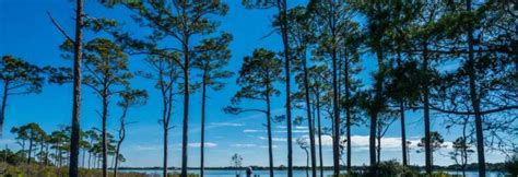 Topsail Hill Preserve State Park - Discover850